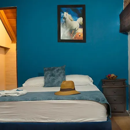 New Casa Sweety