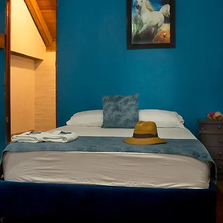 New Casa Sweety
